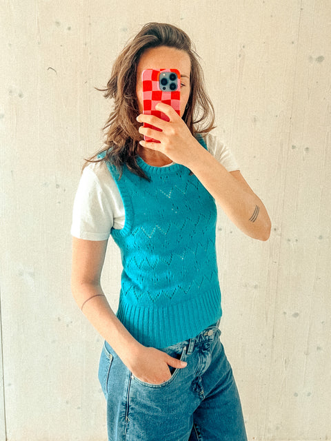 vintage sweater vest bluebird