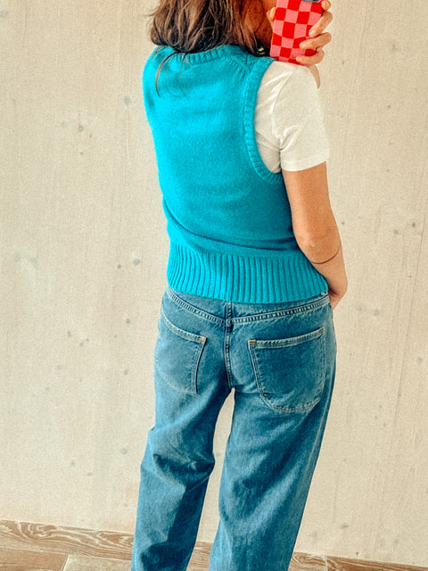 vintage sweater vest bluebird