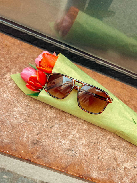 aviator sunglasses